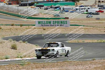 media/May-07-2022-Cobra Owners Club of America (Sat) [[e681d2ddb7]]/White/Session 3 (Turn 3)/